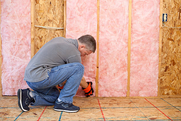 Best Cellulose Insulation in Clayton, GA