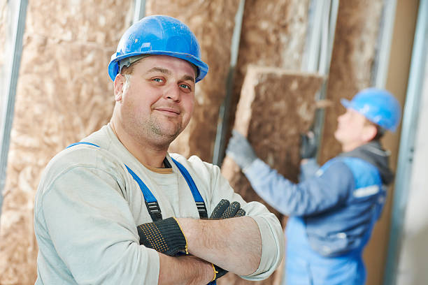 Best Residential Insulation in Clayton, GA