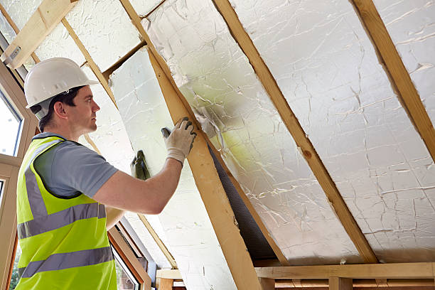 Best Commercial Insulation in Clayton, GA