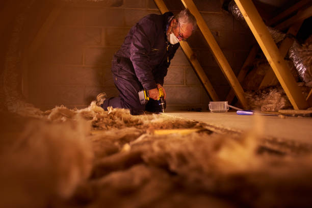 Best Blown-in Insulation in Clayton, GA
